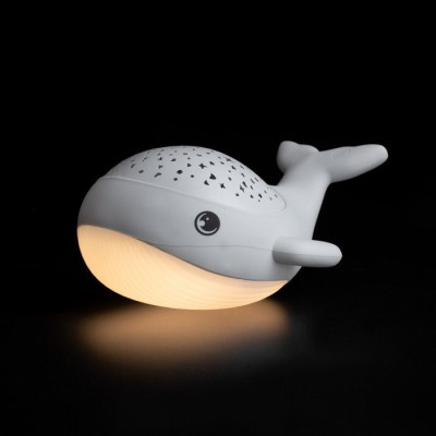 Willy Whale